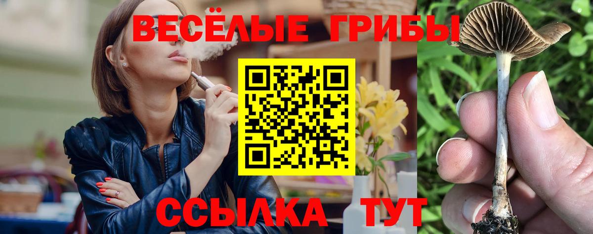 Галлюциногенные грибы Magic Shrooms Междуреченск