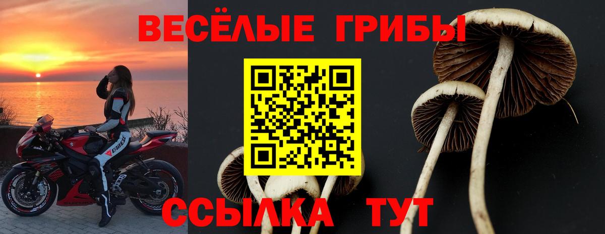 Междуреченск  сколько стоит  Вход с VPN  Галлюциногенные грибы мицелий 